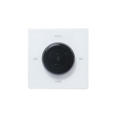 Lucky Tone BA-225VR — регулятор громкости с усилителем и цветным экраном