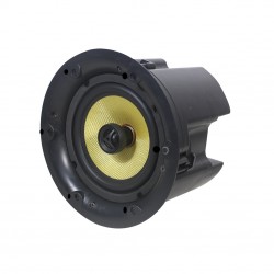 Lucky Tone CK-650WIFI BT — потолочный громкоговоритель