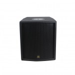Lucky Tone DP 120 SUB DSP