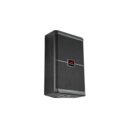 Lucky Tone PSRX712M — 12-дюймовый мощный двусторонний сценический монитор