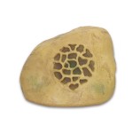 Lucky Tone RK-6100