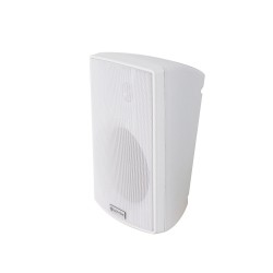Lucky Tone WP-515T — настенный громкоговоритель