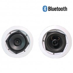 Lucky Tone CB-415 — потолочный громкоговоритель