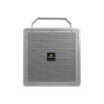 Lucky Tone RM-300V