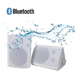 Lucky Tone WB-5230P — настенный громкоговоритель