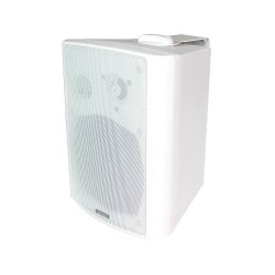 Lucky Tone WP-530F — настенный громкоговоритель