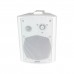 Lucky Tone WP-640F — настенный громкоговоритель