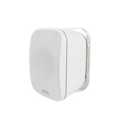 Lucky Tone WSP-540B — настенный громкоговоритель