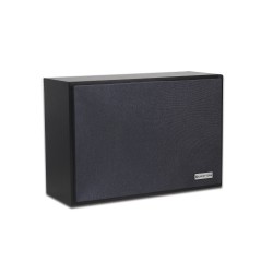 Lucky Tone WW-105T — настенный громкоговоритель