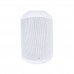 Lucky Tone TWS-430iW — настенный громкоговоритель