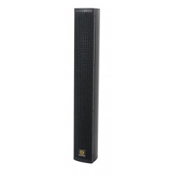 Lucky Tone DP 120POE DSP - Колонка