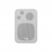 Lucky Tone WP-420CWV2 — настенный громкоговоритель